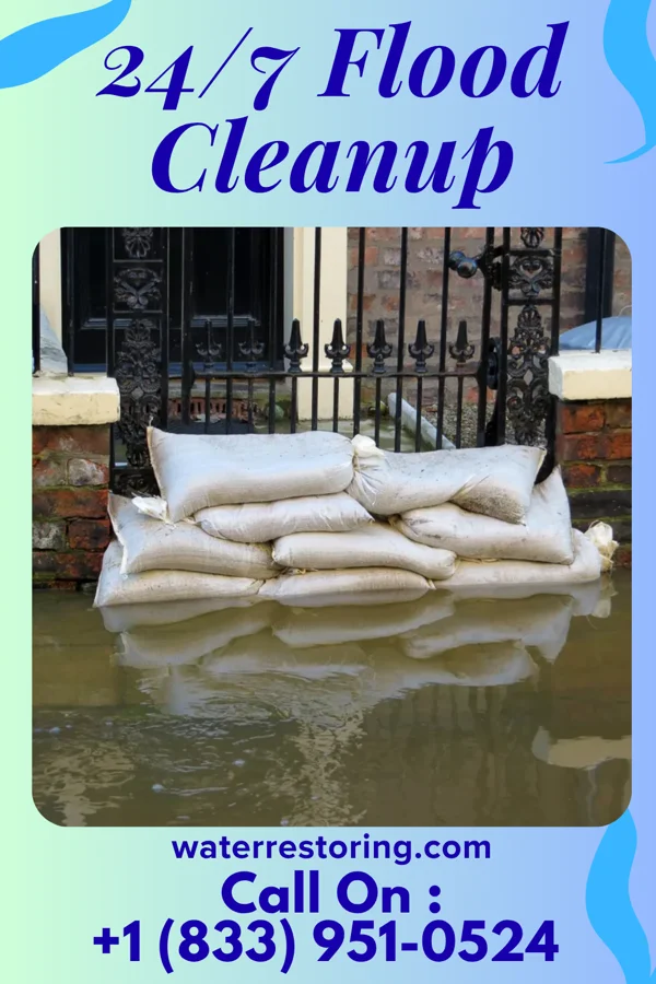 24/7 Flood Cleanup in Prado Verde, TX