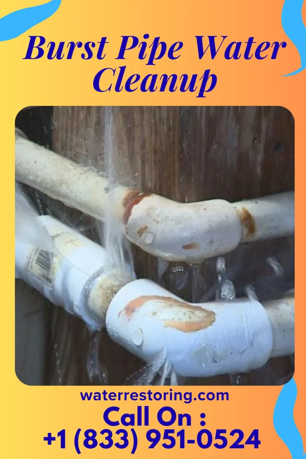 Burst Pipe Water Cleanup in Prado Verde, TX