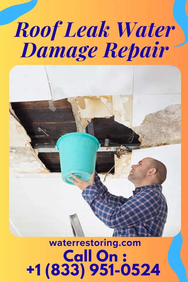 Roof Leak Water Damage Repair in Prado Verde, TX
