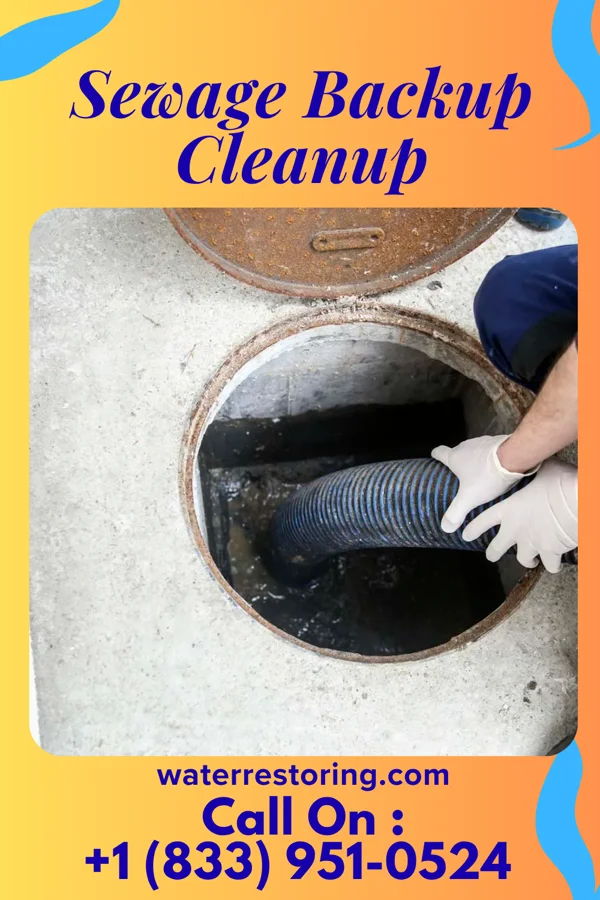 Sewage Backup Cleanup in Prado Verde, TX