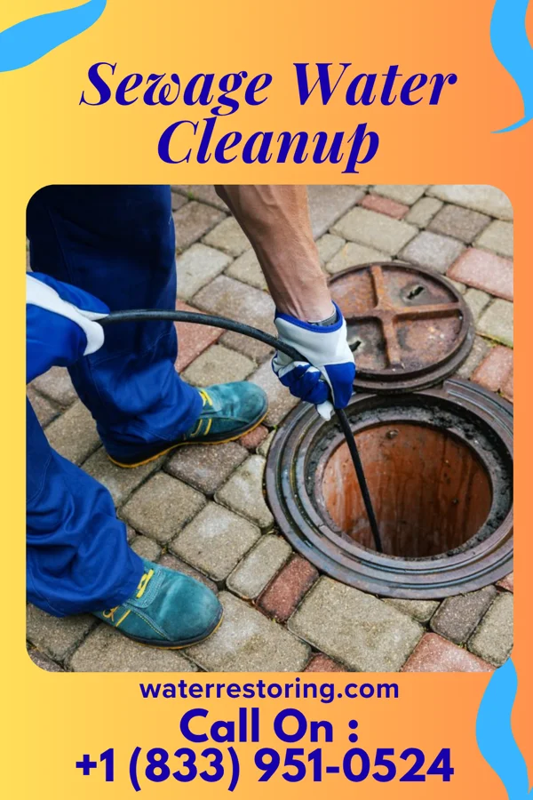Sewage Water Cleanup in Prado Verde, TX